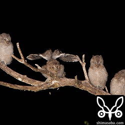 会社を21:00におわってあわてて駆けつけたので、宴の時間はみじかかった…。