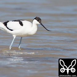 諸事情により遠いです。^^;