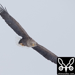 目が合っています!!