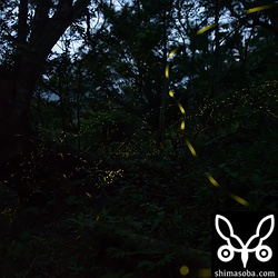 30秒でこれぐらい。