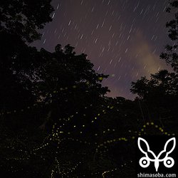 終盤には星も見えてきたので上を向けました。^^;

ポラリエ持っていけばよかったなー。