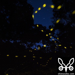 終わりがけ、星も出てきました。^^

ちゃんと撮ってみたいもんですなー。