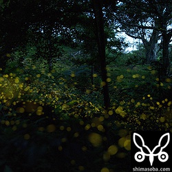 半月ぐらいだったので空が明るいなー。^^;