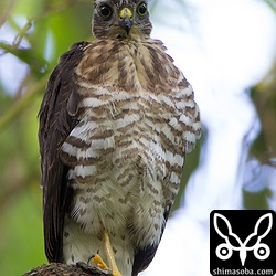 リラックスしてヘソスタイル。^^