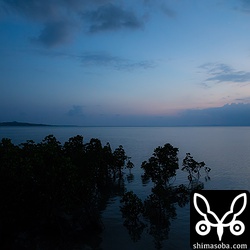 今日も一日いい天気でした。^^