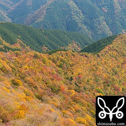 クマタカも現れず…。