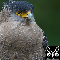 身も心も寒そう…。^^;