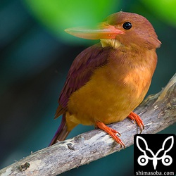 4月4日に一瞬見て以来の再会。^^