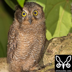 出たり入ったりを繰り返していました。^^