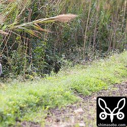 ケンカでもするのかと思いましたが、穏便に解決。