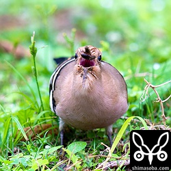 正面から決定的瞬間。^^