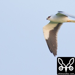 次は、天気の良い日に撮影してみたいですね。