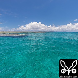 これでもコントラストはリニアで撮影しています。風景モードで撮ったらもっと真っ青になっちゃうんでしょうね。