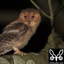 たまにこちらを向いてくれます。