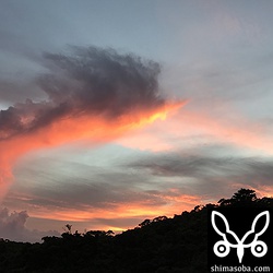 夕方は面白い形の雲が立ち上がってた。
