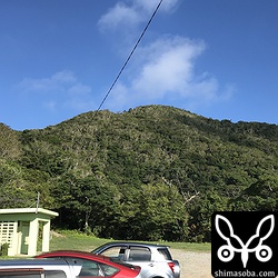 嘉津宇岳の様子。奥の登山道を登ると40分ほどで山頂へ行けます。山頂は、360度大パノラマの素晴らしい風景。