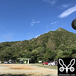 晴天に恵まれ、風も西寄りから北寄りに変わりタカの渡りを見るには最高の条件が揃いました。^^