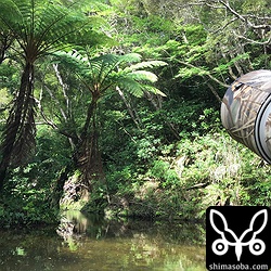 足を沢の水に浸けながらの撮影。とても気持ちのよいロケーションです。