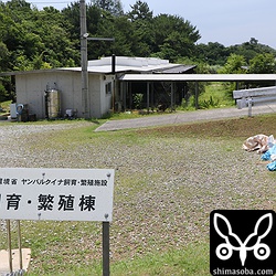 非公開の飼育・繁殖施設も見せてもらった。この日が報道へも初公開。