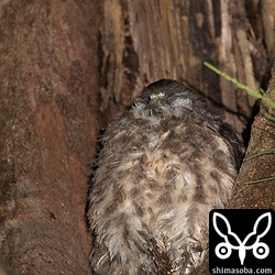 しばらくの間、眠ったりもしました。