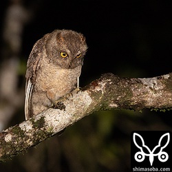 草むらで何かが動いているようでしばらく凝視していた。