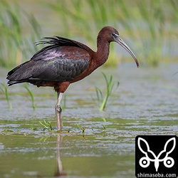 上面も美しく輝いています。