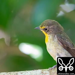 視界にいたのは10分程度ですが、いろいろな表情を見せてくれました。