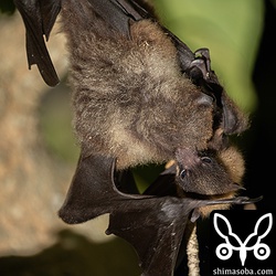 感動の再会を果たした親子。