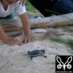 息子は応援に力が入るあまり、規制線を乗り越えて母親に静止されています。^^;