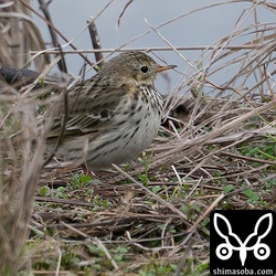 畔でしばらく休憩していました。