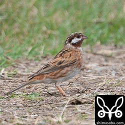次に会えるのは何年後でしょうか。下手したら十数年後ってことも…。^^;