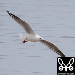 河口を一周して戻ってきました。