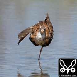 伸びも見せてくれました。