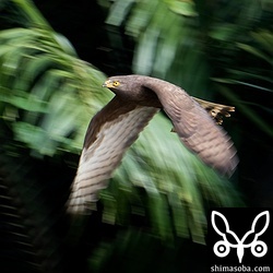 年々、警戒心は解けてきています。