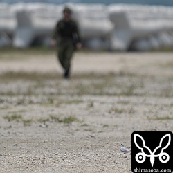 コアジサシの巣は、PAC3配備のために展開した車両におそらく踏まれてしまった。シロチドリなどもいましたが、すべてどこかへ飛び去りました。