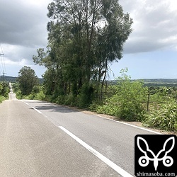 巣は写真の中心にあります。地上から1.5メートルほどの高さで車道を向いています。