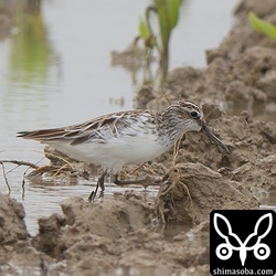 今季初のキリアイ。