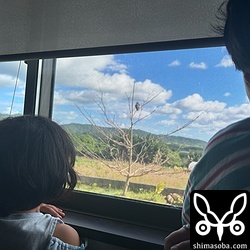 寝室からカンムリワシを観察する子どもたち。^^